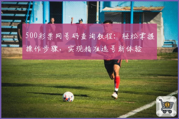 500彩票网号码查询教程：轻松掌握操作步骤，实现精准选号新体验