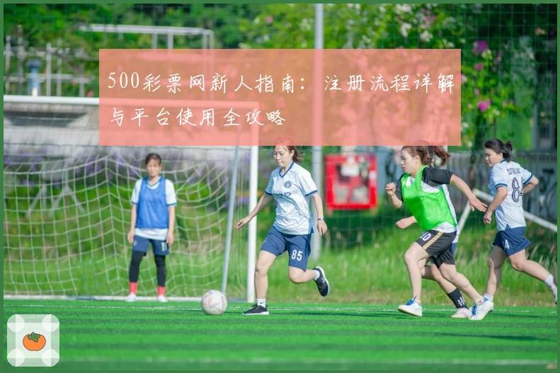 500彩票网新人指南：注册流程详解与平台使用全攻略