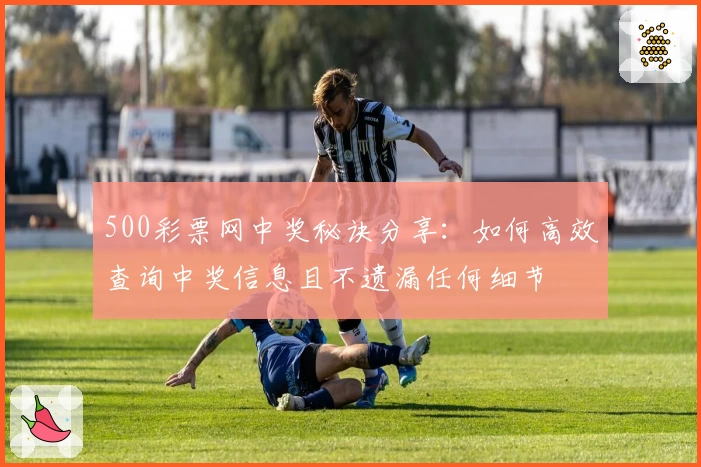 500彩票网中奖秘诀分享：如何高效查询中奖信息且不遗漏任何细节