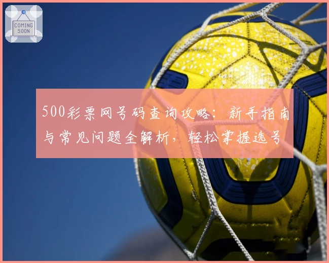 500彩票网号码查询攻略：新手指南与常见问题全解析，轻松掌握选号技巧