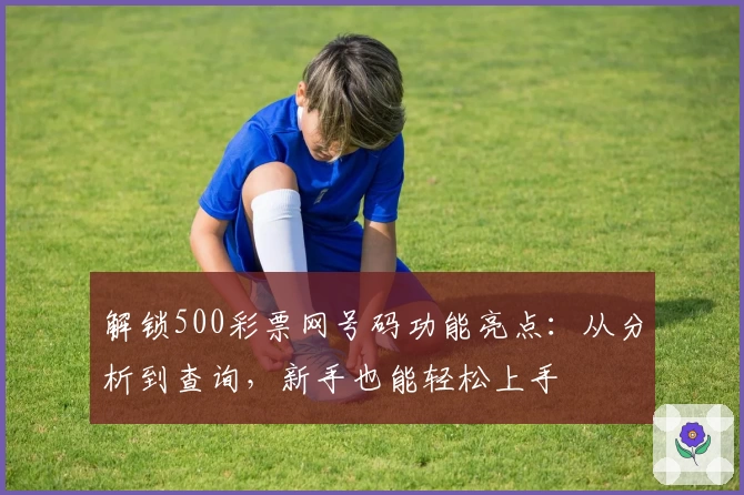 解锁500彩票网号码功能亮点：从分析到查询，新手也能轻松上手