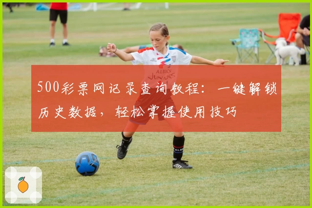 500彩票网记录查询教程：一键解锁历史数据，轻松掌握使用技巧
