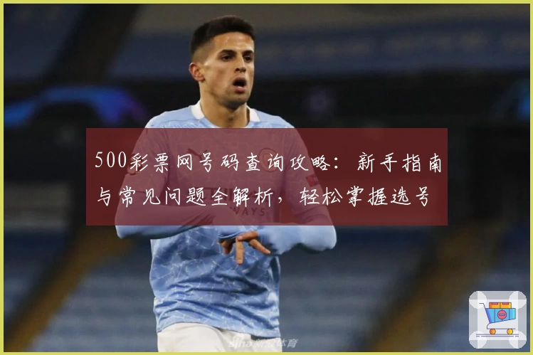 500彩票网号码查询攻略：新手指南与常见问题全解析，轻松掌握选号技巧