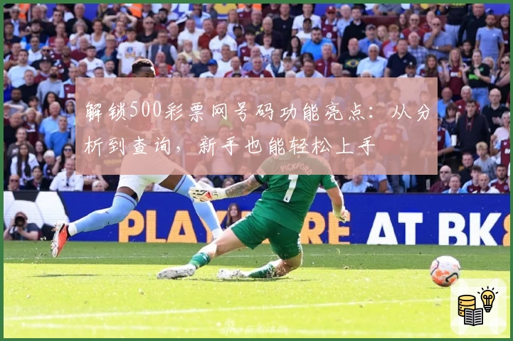 解锁500彩票网号码功能亮点：从分析到查询，新手也能轻松上手