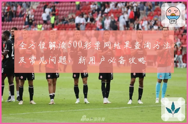 全方位解读500彩票网结果查询方法及常见问题，新用户必备攻略
