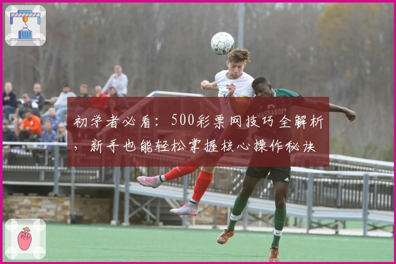 初学者必看：500彩票网技巧全解析，新手也能轻松掌握核心操作秘诀