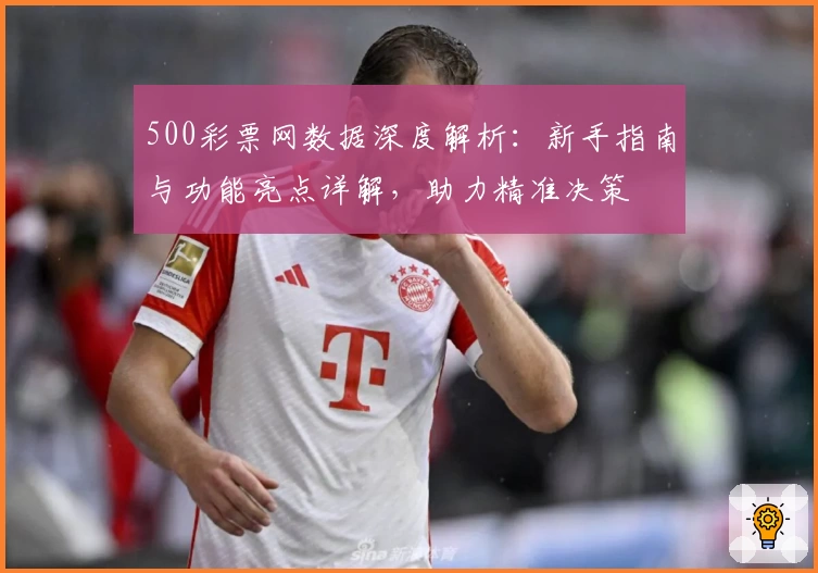500彩票网数据深度解析：新手指南与功能亮点详解，助力精准决策